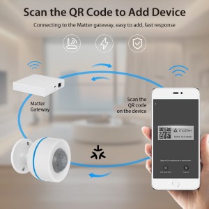 matter motion sensor
