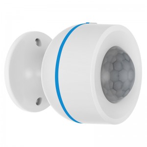 matter motion sensor