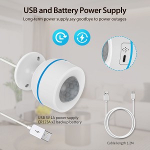 matter motion sensor
