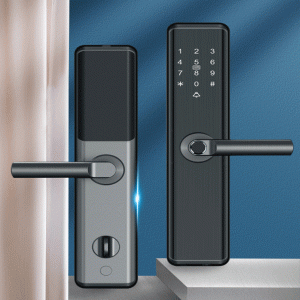 Smart Door Lock Q5