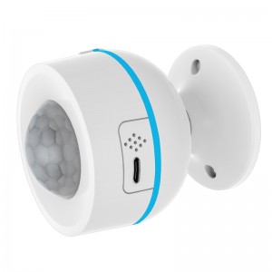 matter motion sensor